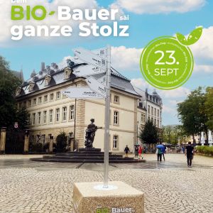 _res/uploads/2024/10/ville-de-luxembourg-e1781103414889.jpg
